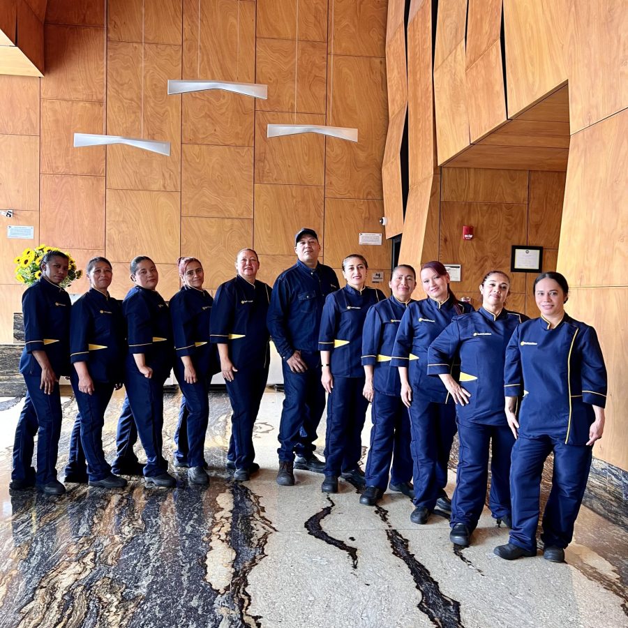 Personal profesional en limpieza