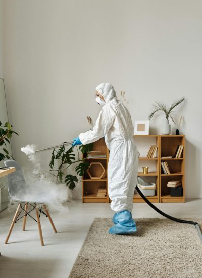Desinfección Ambiental y Control de Plagas